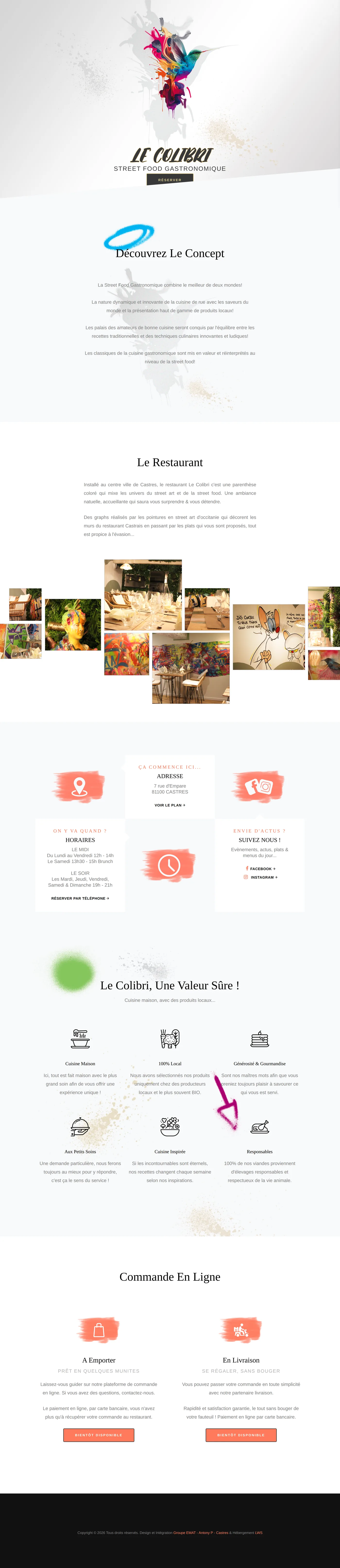 Page d'accueil du site du Colibri, vue sur ordinateur.